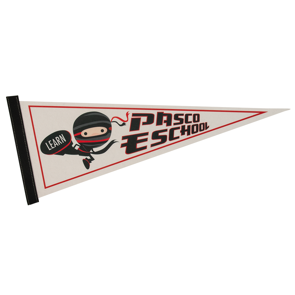 Pennant Full Color Strip